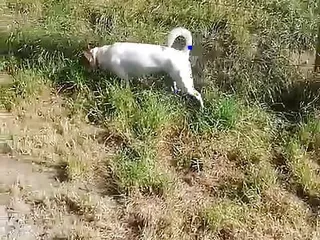 I Ran Into This Crazy Girl In A Campsite She Wanted To Take It All In The Way free video